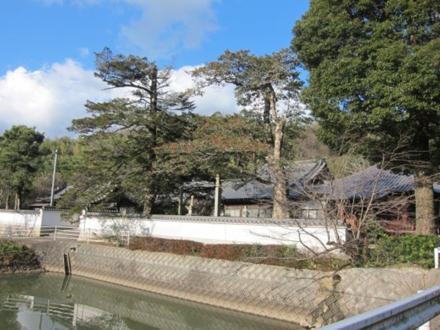 �@�@���̎ʐ^1