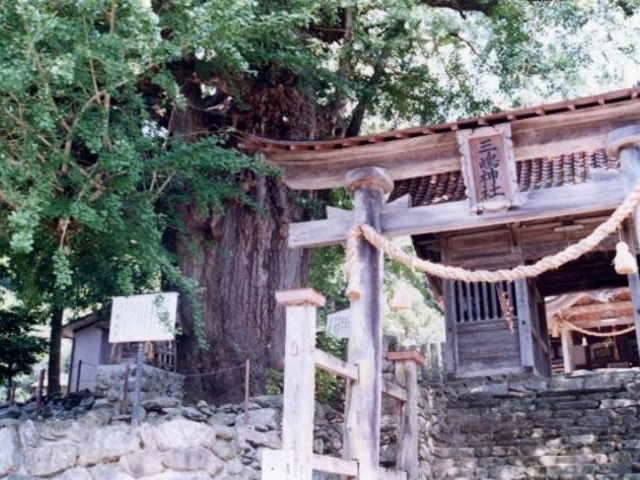 �O���_�Ёi���q������j�̎ʐ^1