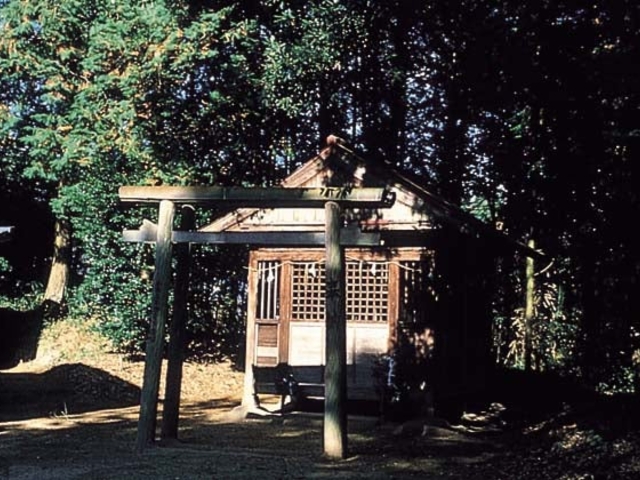 �R�{�_�Ђ̎ʐ^1