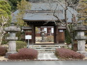 �������̎ʐ^3