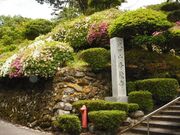 ���c�R�����̎ʐ^2