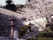 �������̎ʐ^2