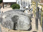 �쑽�Y�����_�Ђ̎ʐ^1