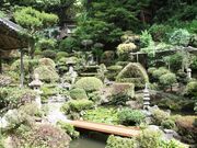 ��y���̎ʐ^2