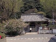 �b�����̎ʐ^1