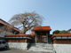 極楽寺（鳥取県倉吉市）の写真3