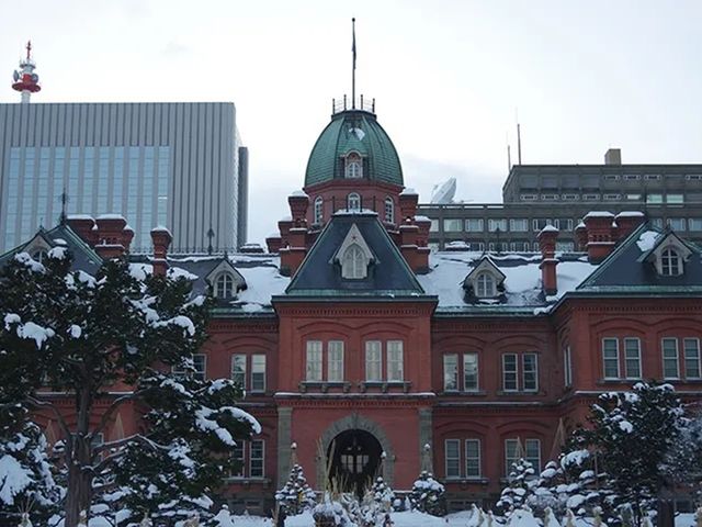 �k�C�������{����(�Ԃ�񂪒���)