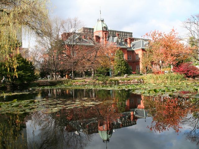 �k�C�������{����(�Ԃ�񂪒���)