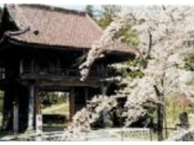 ���O��̎ʐ^1