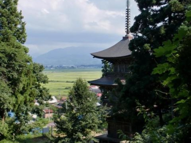 �@�p���O�d��_�@�p���O�d��