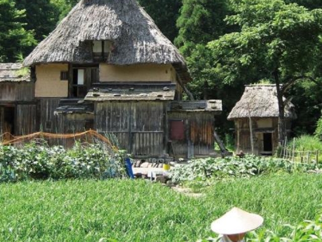 �ΐ쌧�����R�낭����������