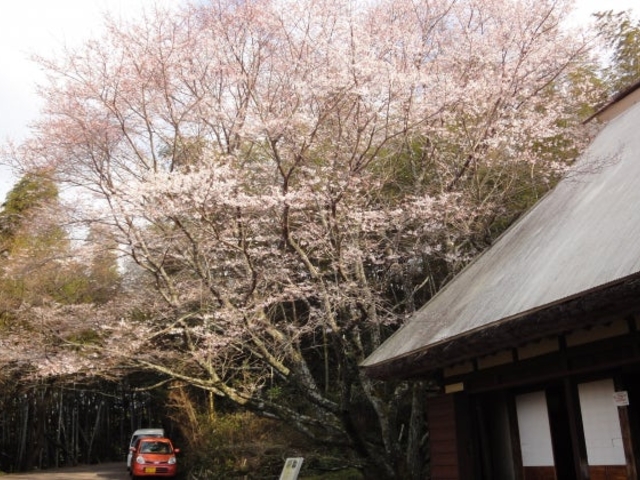 ���̗��x�e��