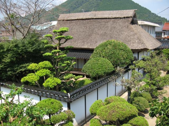 ���ǒؖ��̎ʐ^1