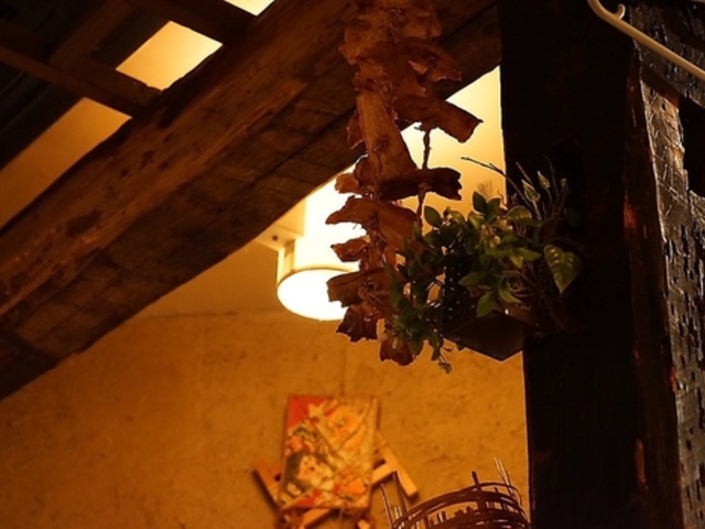 �k�̑䏊 ���񂶂� �����q�̎ʐ^1