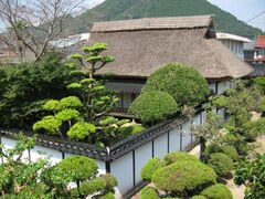 ���ǒؖ��̎ʐ^1