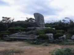 ���A���̎ʐ^1