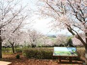 ���@���Õ��̎ʐ^1