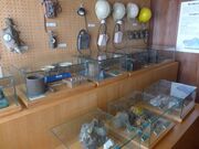 �p���ق̎ʐ^3