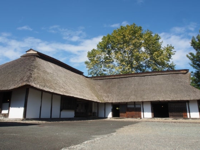 ���Β����j����������