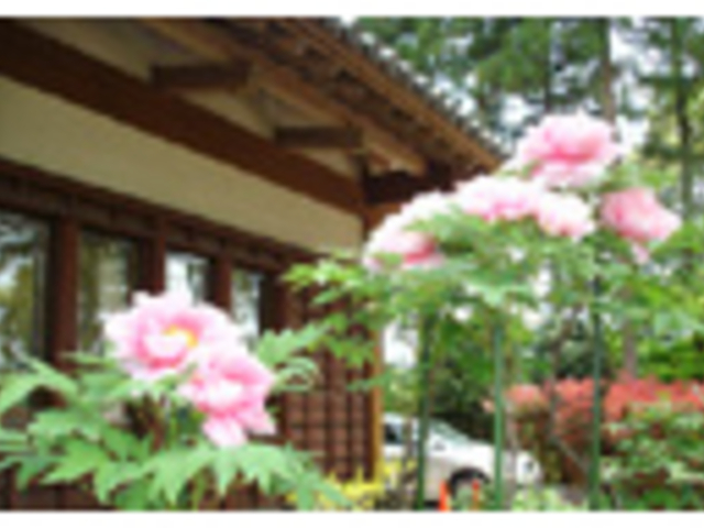 ���H�m�Ԃ̊�