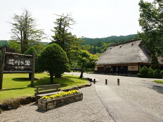 ��� ����̗�