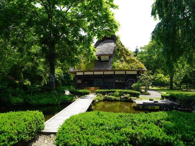 ��� ����̗�