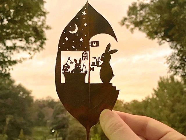 �x�{������