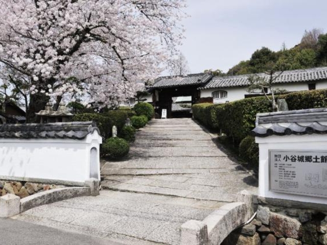 ���J�鋽�y��