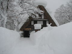 冬も開園しています！
（木曜定休）ぜひ雪の白川郷を体感してください_野外博物館 合掌造り民家園