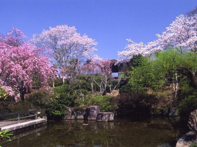 ���q�R�����̎ʐ^1