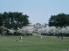 ����s���������̎ʐ^1