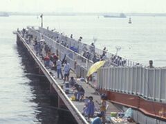 ��������̎ʐ^1