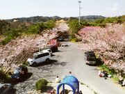 ��l�����̎ʐ^1