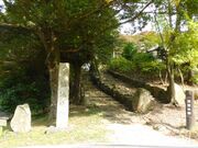 �m�Ԍ����̎ʐ^1