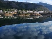 ���_�������̎ʐ^1