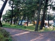 ����C�l�����̎ʐ^1