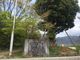 丸山公園（愛媛県宇和島市）の写真2