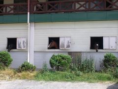 MRC乗馬クラブ広島の写真1