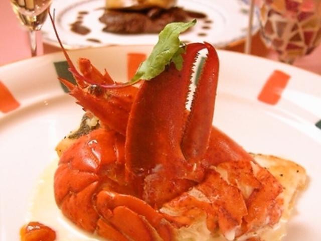 X^W[l STAGIONE SRX̎ʐ^1