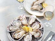 �L���J�E�[�J �O����&�I�C�X�^�[�o�[ ���l�x�C�N�H�[�^�[�X�̎ʐ^1