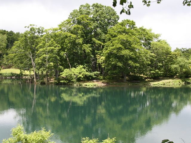 �����X�J�C�P�[�u��