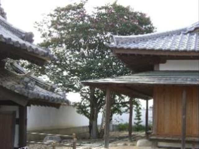 �����@�̃T���X�x���̎ʐ^1