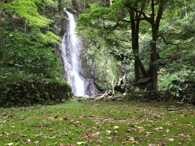 �g�t�P��̎ʐ^1