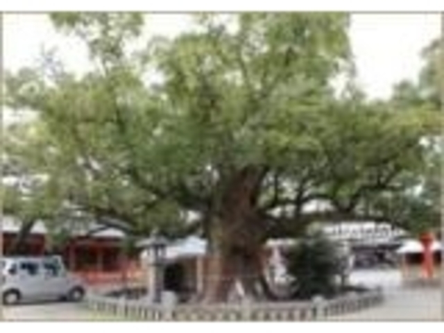 楽天市場】大川 義文の通販