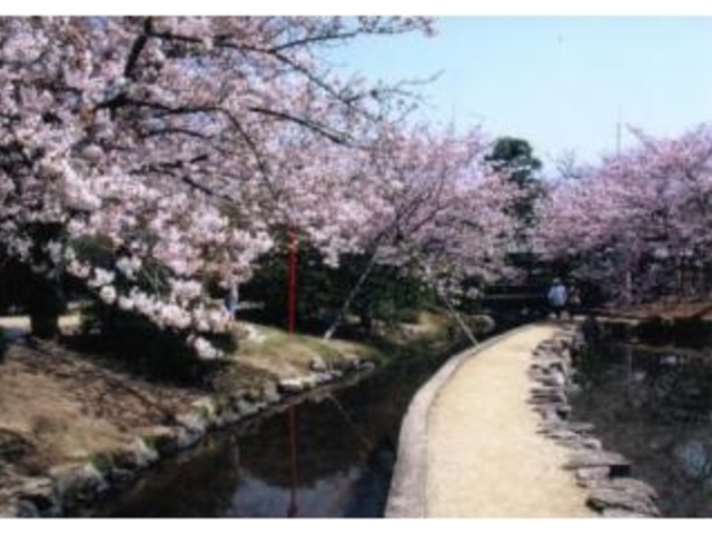 �_������̍�