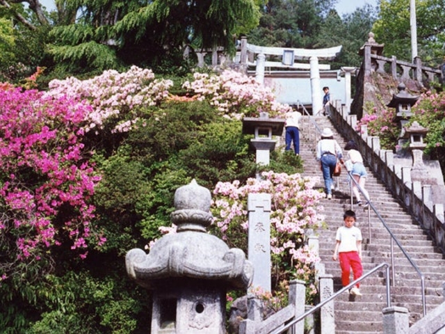 �L�c�����̃c�c�W