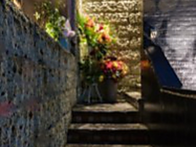 RcܘY@̂񂳂 z̎ʐ^1