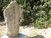 ����~�J���i���w��V�R�L�O���j�̎ʐ^1