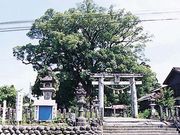 �Í]�_�Ђ̏��̎ʐ^1