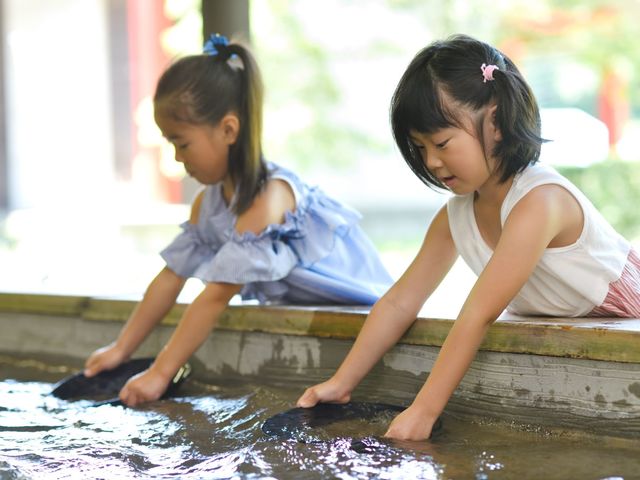 わくや万葉の里 天平ろまん館】予約・アクセス・割引クーポン - じゃらんnet